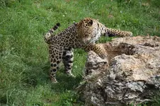 14512413056_8542a7fedc_h.webp