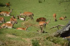 14349430589_bc31837301_h.webp