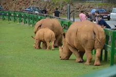 14512335816_d9255f4617_h.webp