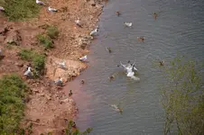 14535562102_f4100e4bcf_h.webp