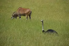 14349583548_24c19d2b5c_h.webp