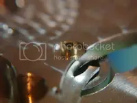 DSC02554_zps57d222d0.webp
