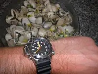 DSCN4494.webp