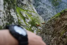 14374348607_358d358800_h.webp