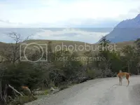 DSCN0398_zpse045e883.webp