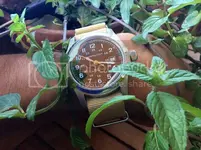 imagejpg1_zpsa91da708.webp