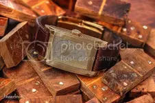 DSC_0529w__zps95990f95.webp