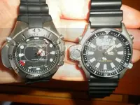 DSCN3763.webp