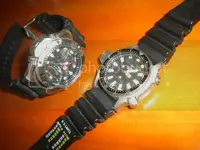 DSCN3761.webp