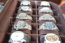 DSC_1085_zps85324ae3.webp