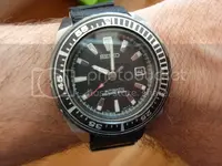 P1020286_zps1a125df4.webp