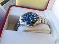 Omega-Seamaster-Professional-2254.50.00-29.webp