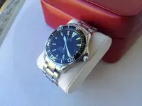 Omega-Seamaster-Professional-2254.50.00-20.webp