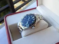 Omega-Seamaster-Professional-2254.50.00-13.webp