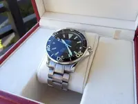 Omega-Seamaster-Professional-2254.50.00-11.webp