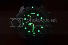 DSC_0299_zps9d975969.webp