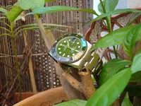 image.webp