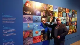 Museu Marítim Barcelona.webp