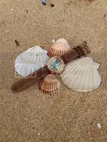 237C60F7-209B-46CC-91E5-2EE0A693CC43_zpsiifhlopn.webp