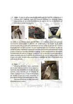 INFORME_RELOJ_RIOLAGO_RE1024_7.webp