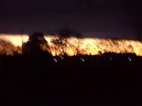 anoche2.webp