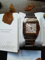 cartier garantia 2 (con marca de agua).webp