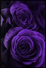 0463a6d3ffdb4a690af17b43ab61c561.webp