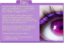 Purple.webp