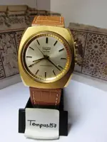 Tempus157-cricket..webp