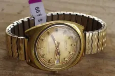 IMGP3952.webp