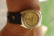IMGP3949.webp