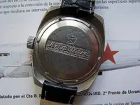 traseraamphibia.webp