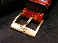 DSCN0696.webp
