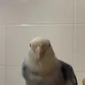 floppy