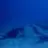 Freedivers