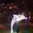 davidbud88