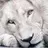 WhiteLion
